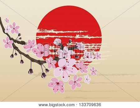 Cherry blossom, sakura flowers, vector illustration, Japan.