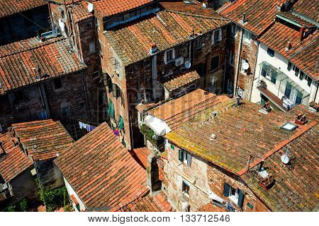 Amazing scenic view at rooftops of Lucca from Torre dell Orologio Lucca Tuscany Italy.