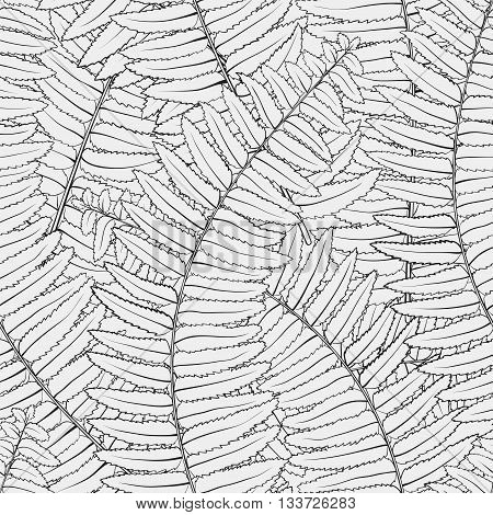 Beautiful monochrome black and white seamless background with fern leaves