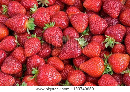 Fresh strawberry harvest, box of berries with stems