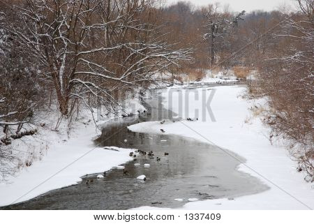 Snowy Creek
