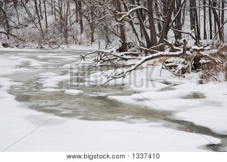 Snowy Creek