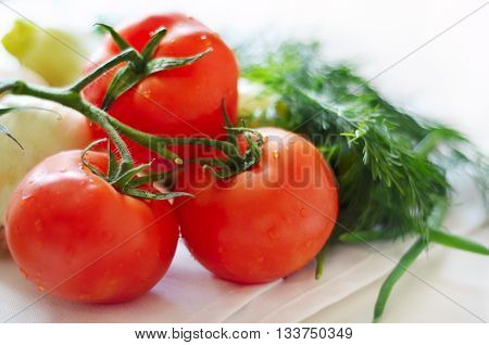 Composition of vegetables tomatoes,dill, anion zucchini, parsley.