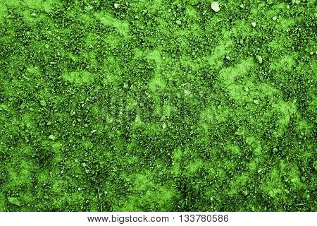 Texture of the soil, nature background, green pattern, excellent texture for use in your creative project