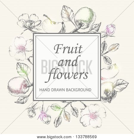 Hand drawn fruit and flower sketched frame. Decorative border with apples flowers buds leaves and shiny spots Vintage style background.