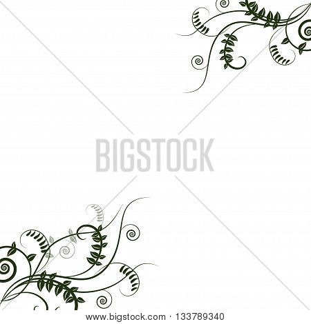 Green floral fresh design of card with vetch. Design for ecology invitation card, wedding, stickers, healthy card, greeting