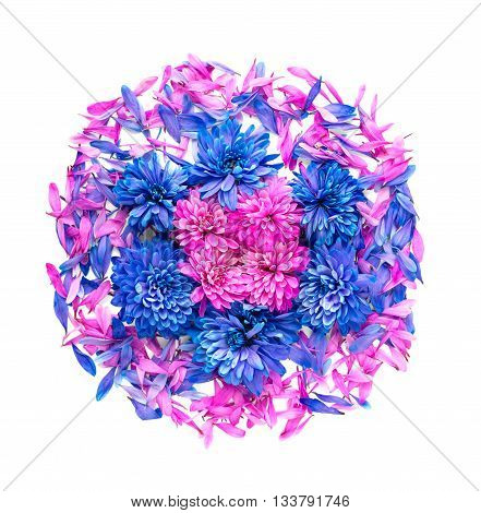 Chrysanthemum Flower On White Background