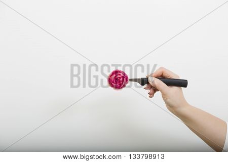 Carving knives with rose from radish in women hand