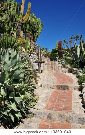 Eze France - april 19 2016 : the botanical garden