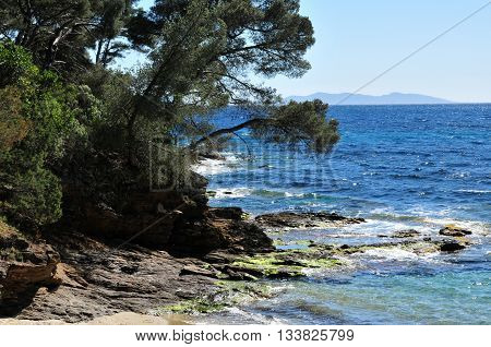 Rayol Canadel sur Mer France - april 18 2016 : the estate Rayol garden in spring