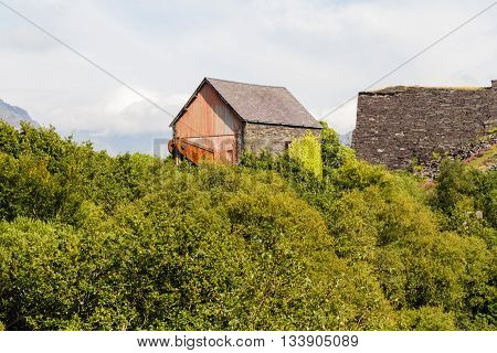 Top Of Beam Engine Surrounded By Trees.