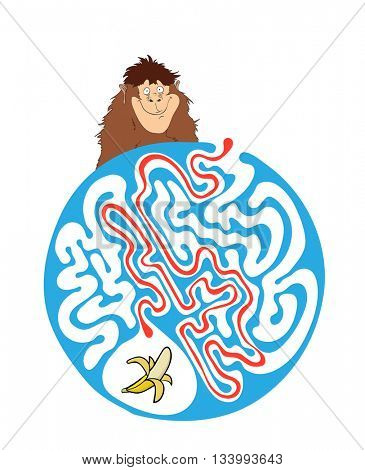 Maze puzzle for kids with monkey and banana. Labyrinth illustration, solution included.