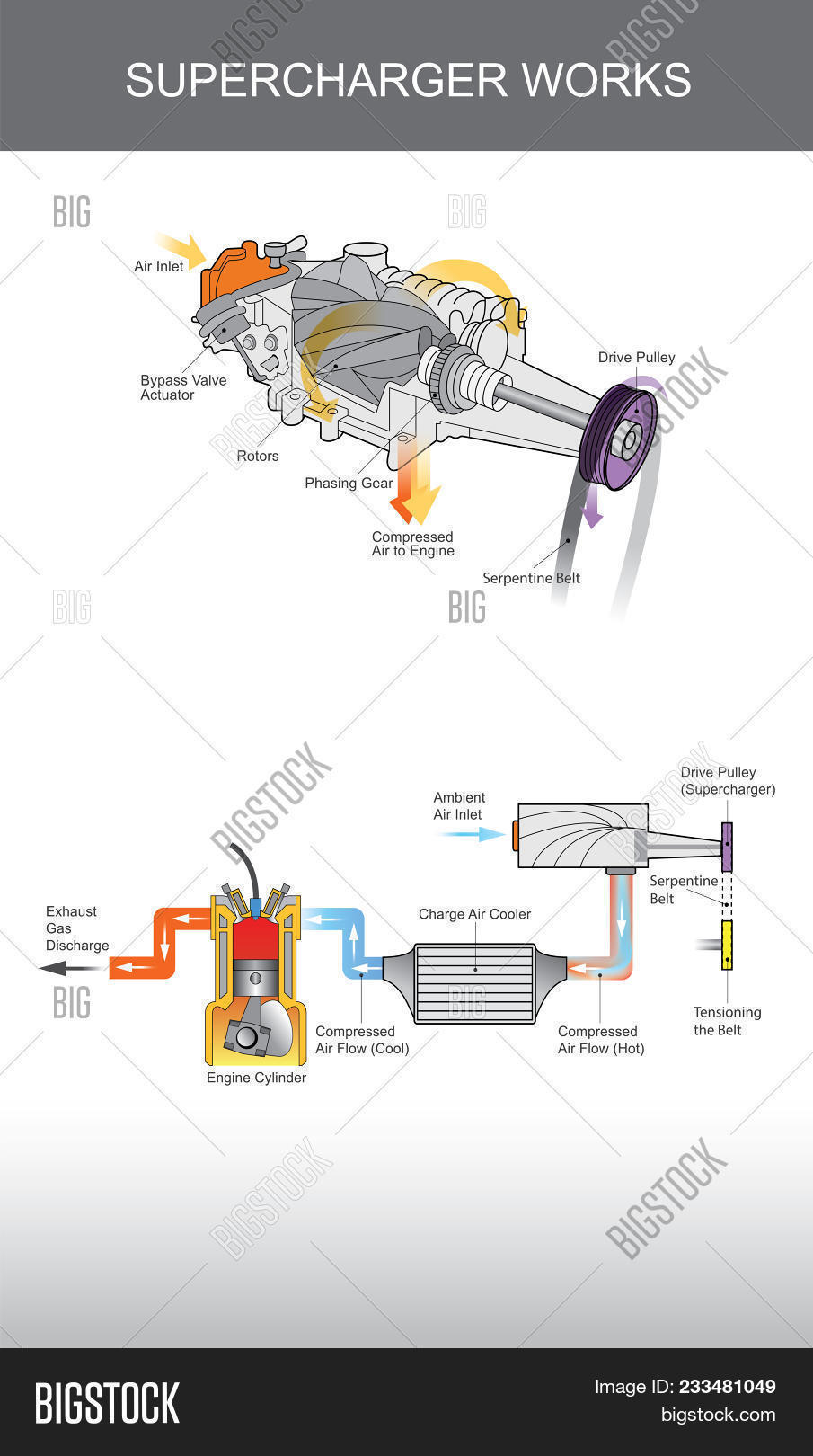 How A Supercharger Works Diagram