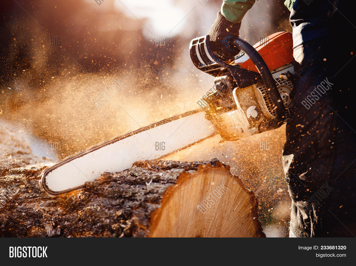 Every Major Chainsaw Brand Ranked Worst To Best, 58 OFF