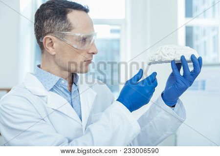 Eloquent Brain. Concentrated Professional Doctor Examining Brain Model While Detecting Tumor Risk