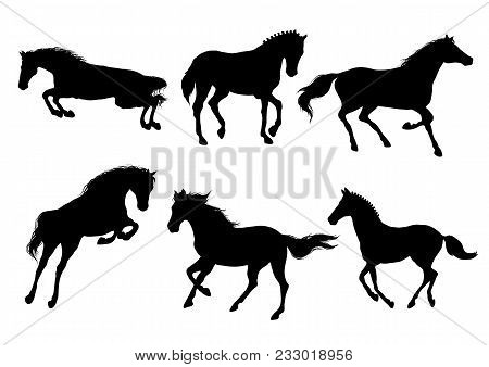 A Set Of Silhouette Of Running And Jumping Beautiful Horses. Vector Illustration.