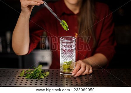 Female Bartender Adding A Leaf Of Fresh Mint With Tongs To The Cane Sugar And Lime In A Glass At The