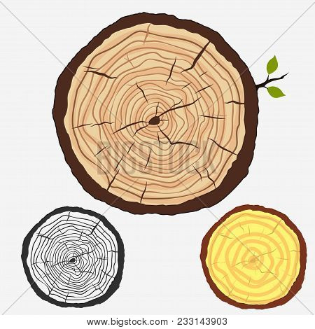 Tree Trunk Crossection, Cut Stump With Forest Trees, Wooden Cut Circular Texture. Wood Work Emblem. 
