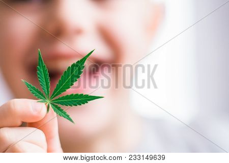 Smiling Kid Child Holding A Hemp Leaf. Concepts Of Using Marihuna For Medicinal Purposes For Childre