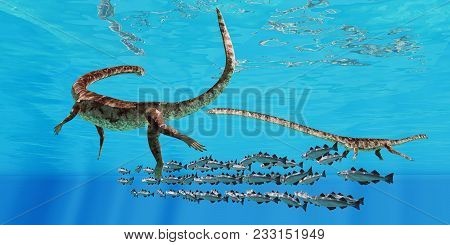 Tanystropheus And Cod School 3d Illustration - Two Tanystropheus Marine Reptiles Surround A School O
