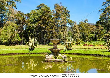 Nuwara Eliya, Sri Lanka - February 22, 2017: The Victoria Park Is A Public Park Located In Nuwara El
