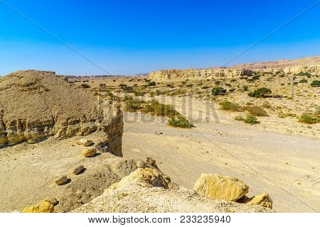Landscape And Marlstone Rock Formation, Near Neot Hakikar, Northern Arava Valley, South Of The Dead 