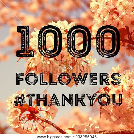 Social Media Celebration Banner - 1000 Followers. 1k Online Community Fans.