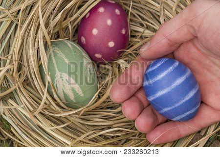 Hand Holding Blue Colored Easter Egg