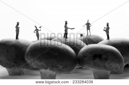 Miniature Cooks On A Field Of Mushrooms
