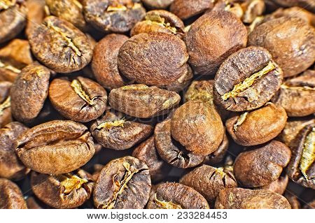 Coffe Beans Close Up