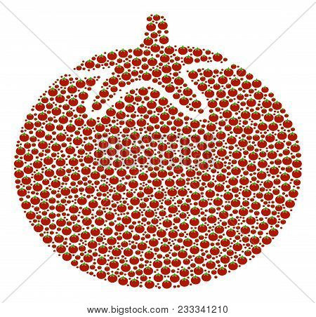 Tomato Vegetable Collage Of Tomato Vegetables. Vector Tomato Elements Are Combined Into Tomato Veget