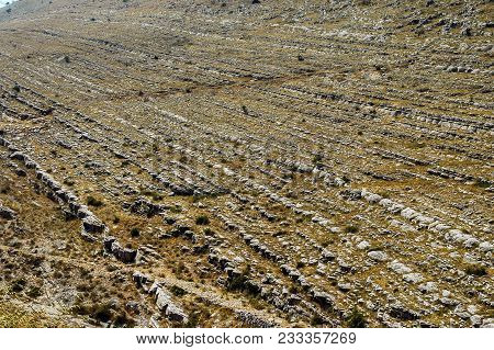 Jurassic Limestone Layers. Geological Pattern