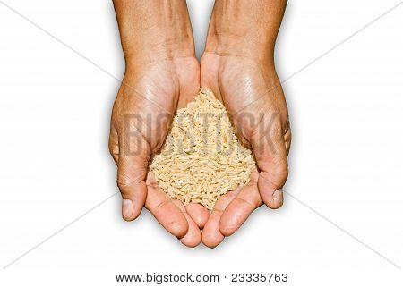 Farmer's Palm With Brown Rice Inside.