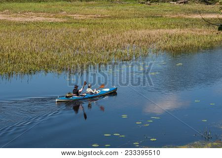 May 2017, Biebrza National Park, Poland,  Couple Paddling A Kayak On Wild River