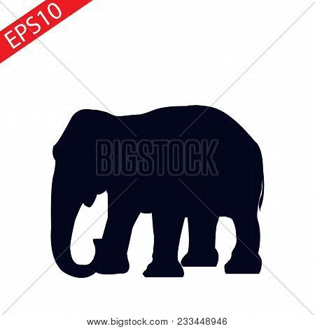 Is A Symbol Associated With Animals Especially Elephants