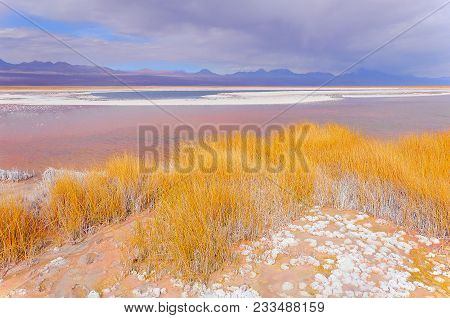 Stormy Clouds Above Laguna Cejar. Atacama Desert. Chile.