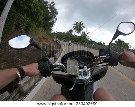Palms Jungles Bike Motobike Forest Speed, Urban, Street, Fpv, Road Lifestyle Fast Transport Asphalt 