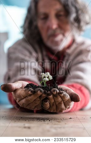 Senior Man Holding A Dainty White Flower In Rich Soil Cupped In His Dirty Hands In A Low Angle View 