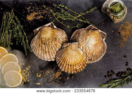 Spisula Sachalinensis Lie On A White Background