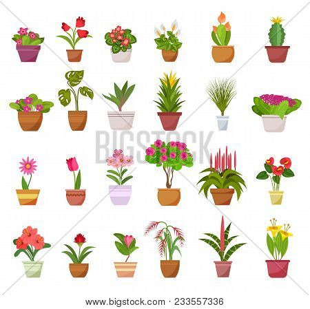 Flowers And Plants In Pots Icons Isolated On White Background. Home Decorative And Deciduous Plants 
