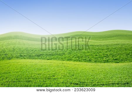 Summer Green Grass Field Landscape With Bkue Sky