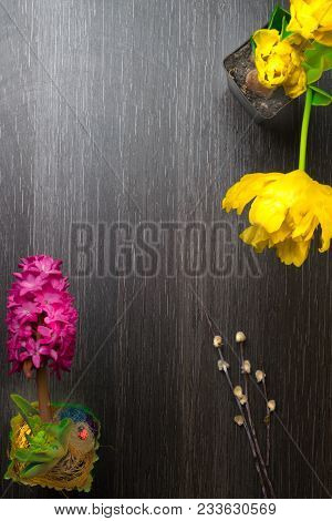 Fresh Pink Hyacinth And Yellow Tulip, Willow Blooming In Green Pot, Ladybird On Dark Wooden Backgrou