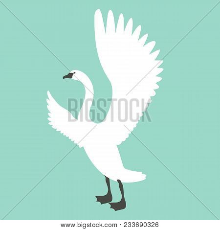 Swan  Bird  Vector Illustration Flat Style Profile Side