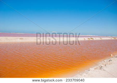 Striking Red Pool Used In The Production Of Salt Near Rio Lagartos, Mexico, Yucatan.