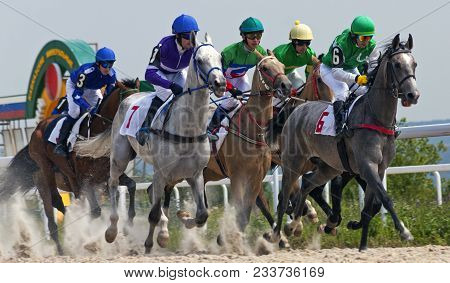 Pyatigorsk,russia - July 14,2013:finish  Horse Racing For The `bolshoi Letni` In Pyatigorsk, Norther