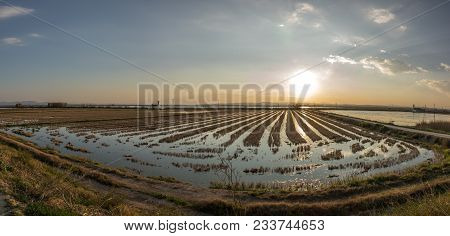 Flooded Rice Paddy And Traditional Mediterranean Farm House, Gigapan Albufera Valencia, Spain