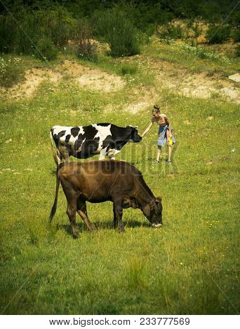 Village, Farming, Field Grazing, Beef Meat. Dairy, Milk Production, Industry. Cow, Woman In Countrys
