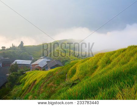 The Longsheng Rice Terraces(Dragon's Backbone) also known as Longji Rice Terraces are located in Longsheng County, about 100 kilometres (62 mi) from Guilin, Guangxi, China
