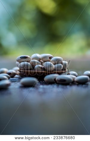 Ayurvedic Herb Kuanch,cowhage,mucuna Pruriens With Powder In A Brown Plate With Its Powder And Raw K