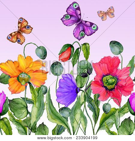 Vivid Summer Background. Beautiful Colorful Poppy Flowers And Flying Butterflies On Lilac Background
